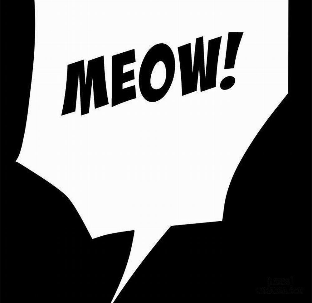 15 Phút 26 trang 137