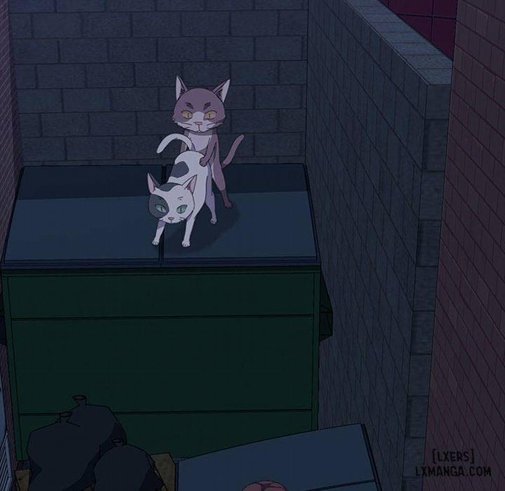 15 Phút 26 trang 142