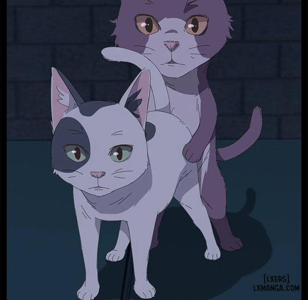 15 Phút 26 trang 146