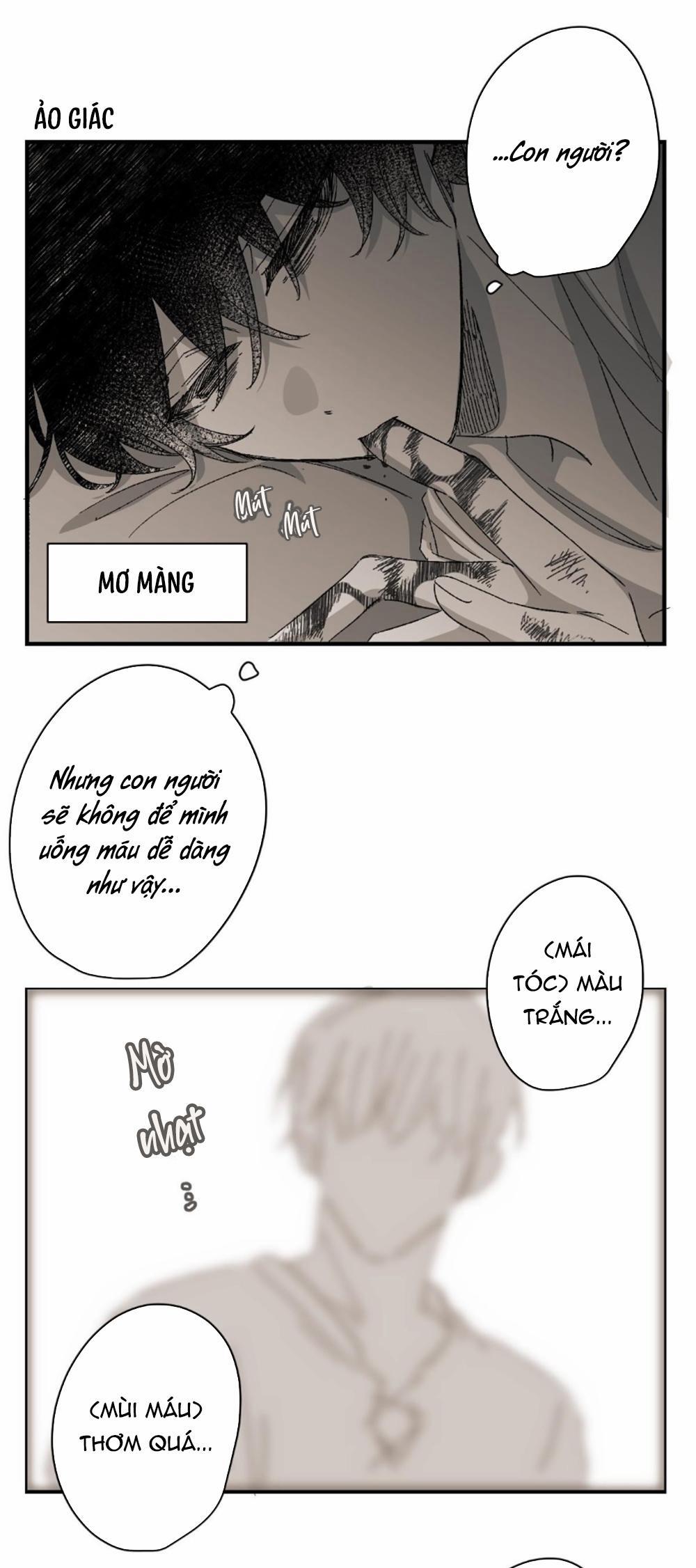 16647 13 EXTRA 1 trang 7