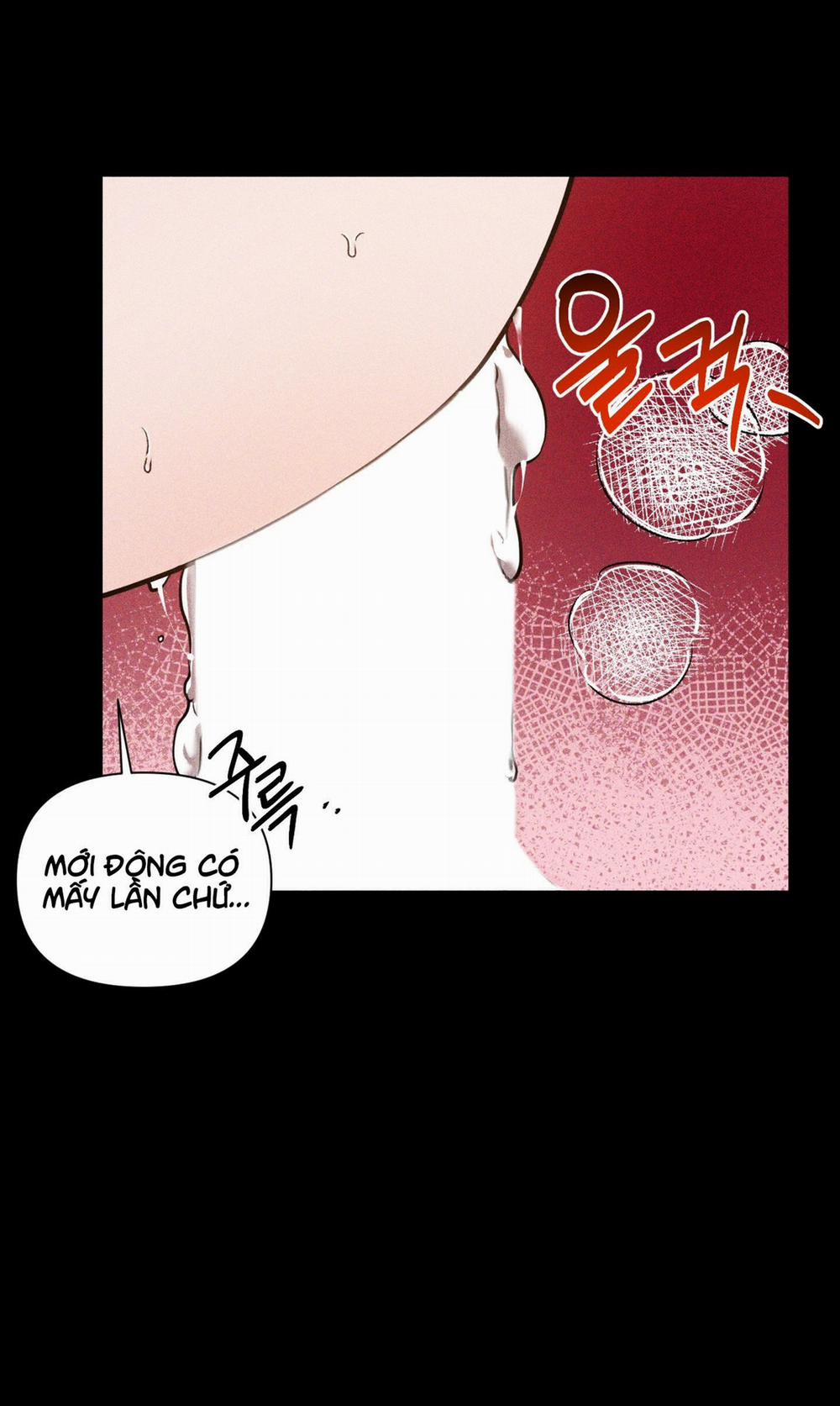 [18+] Ánh Bình Minh Cắt Ngang Màn Đêm 8.2 trang 33