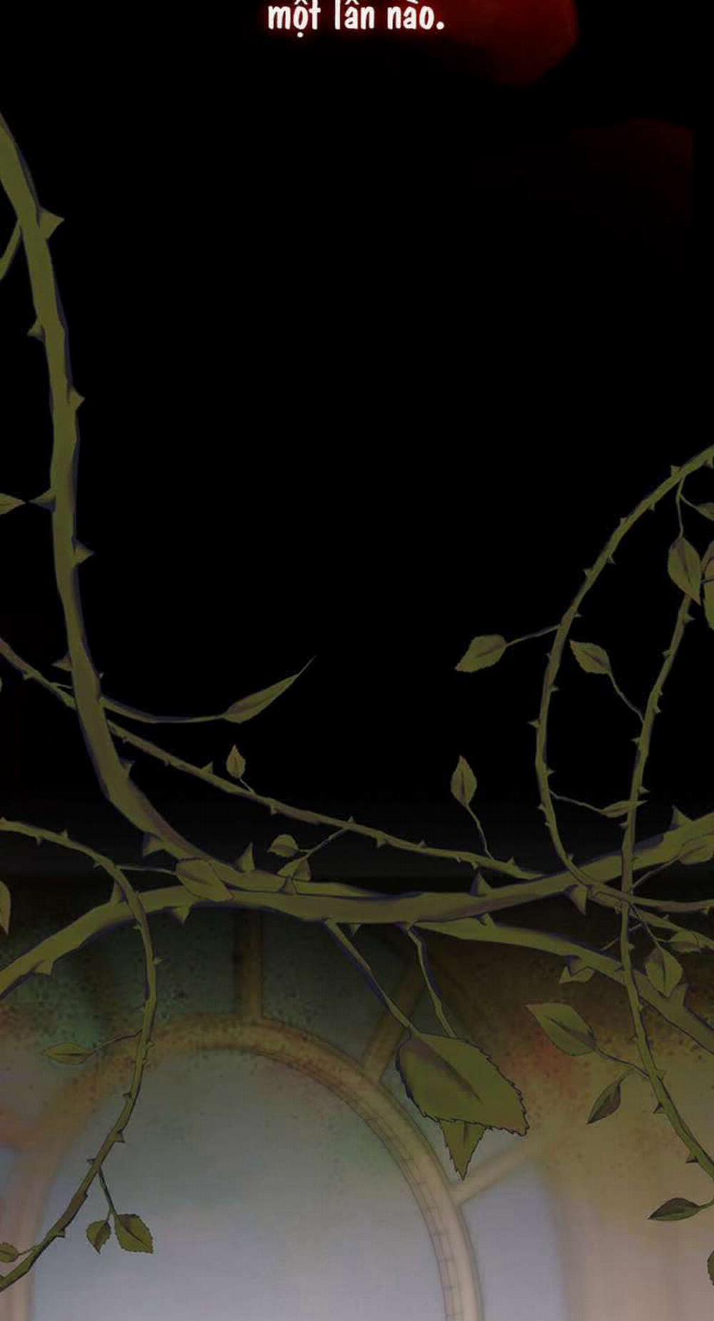 [ 18+ ] Bệ Hạ Đã Thay Đổi Rồi! 1 trang 13