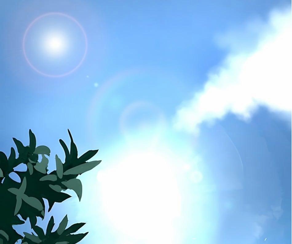 [18+] Cánh Hoa Ướt Át Của Thánh Nữ 16 trang 1