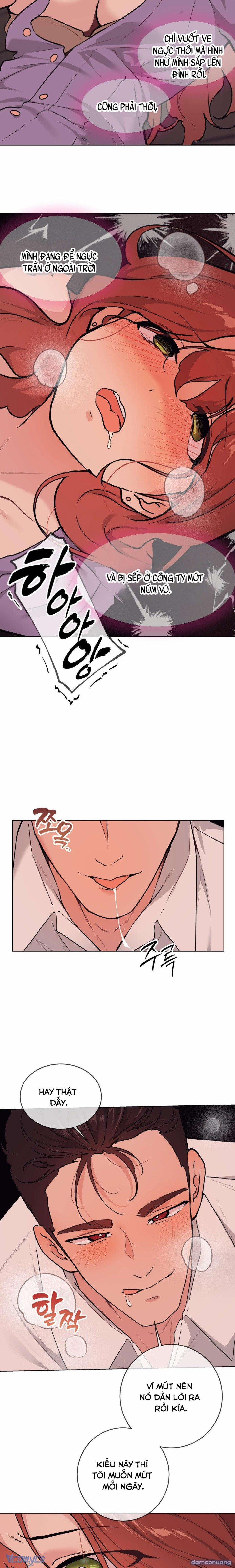 『18+』Cherry Pop 8 trang 7