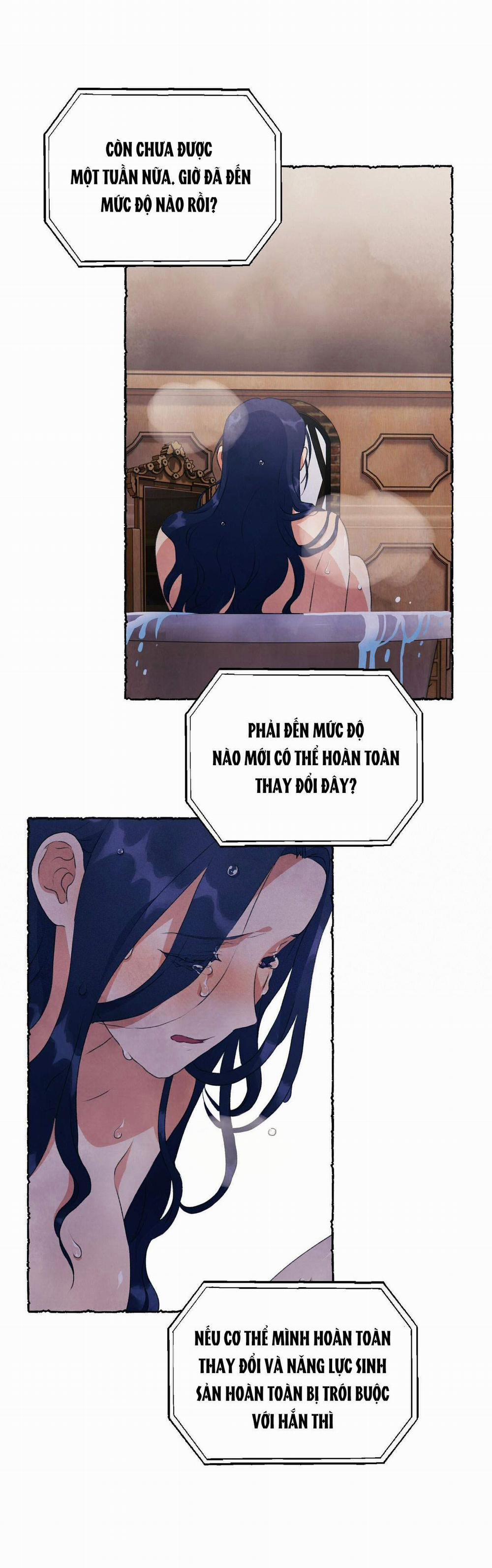 [18+] Chuyện Của Những Pháp Sư Ấy 16.2 trang 19