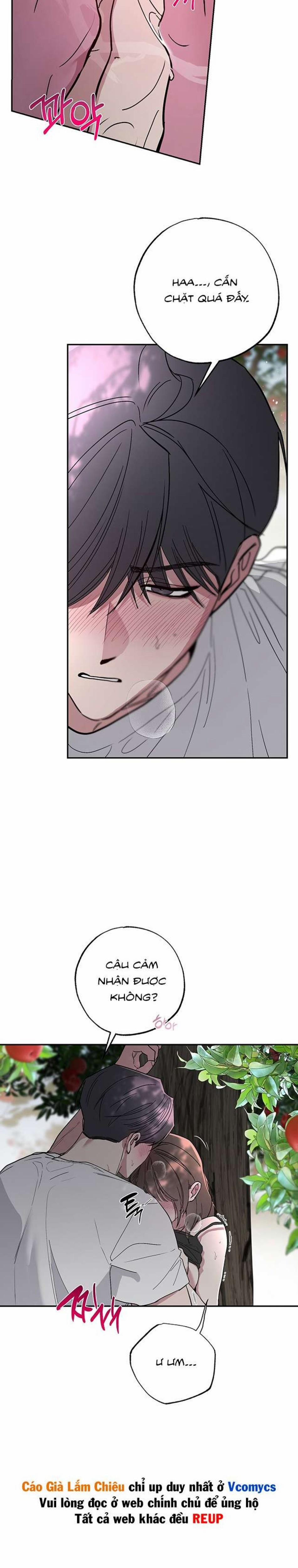 [18+] Chuyện Tình Ở Vườn Cây Ăn Quả 5 trang 26