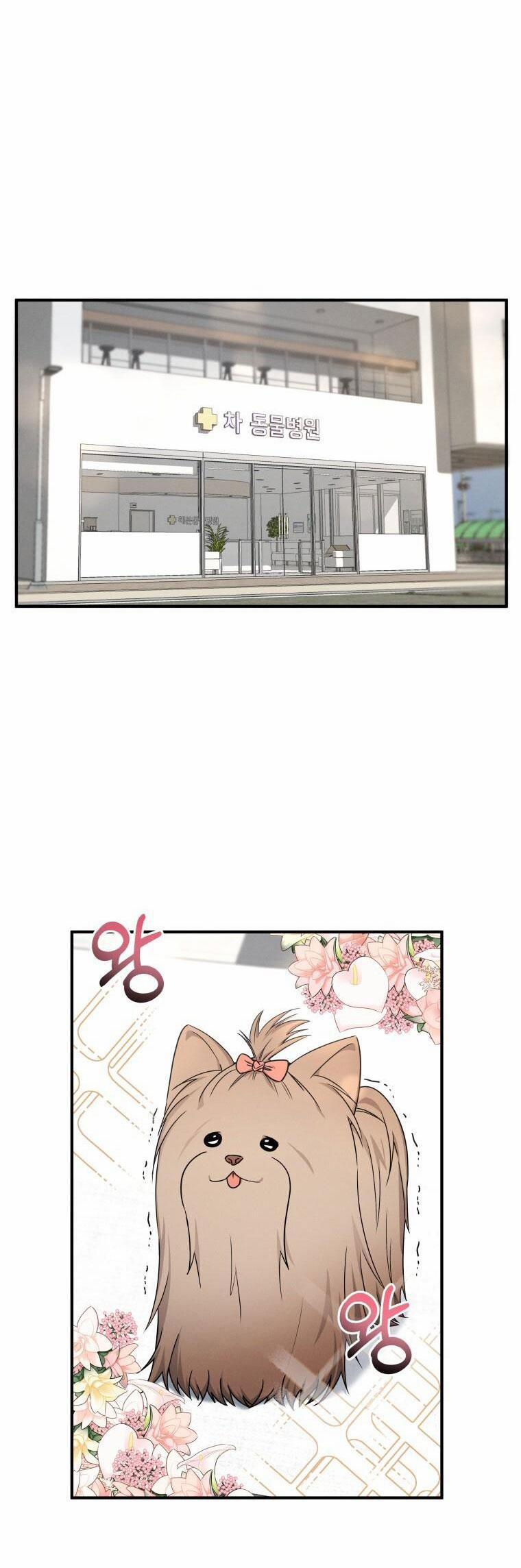 [18+] Cùng Trời Cuối Đất 11.1 trang 0