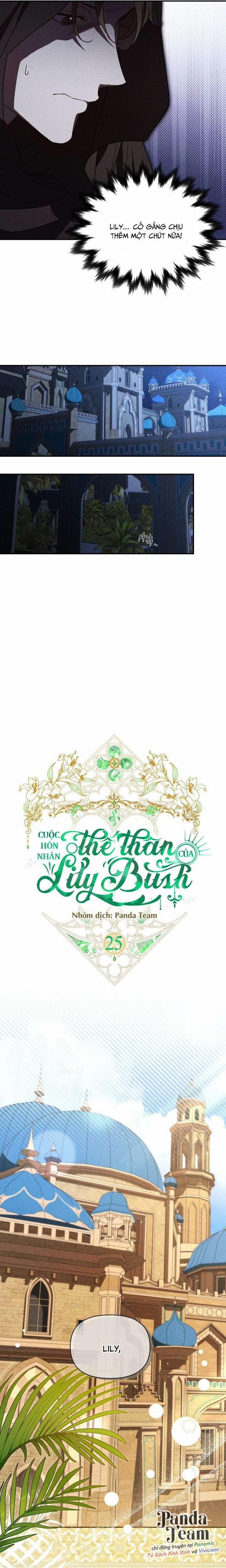 〔18+〕Cuộc Hôn Nhân Thế Thân Của Lily Bush 25 trang 8