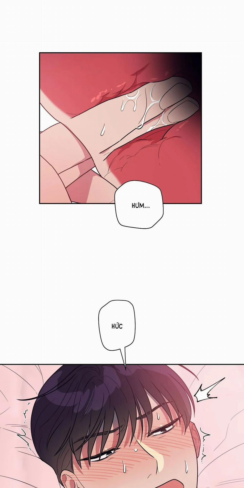 [18+] Đại Học Adan Và Những Điều Thú Vị 16.2 trang 8