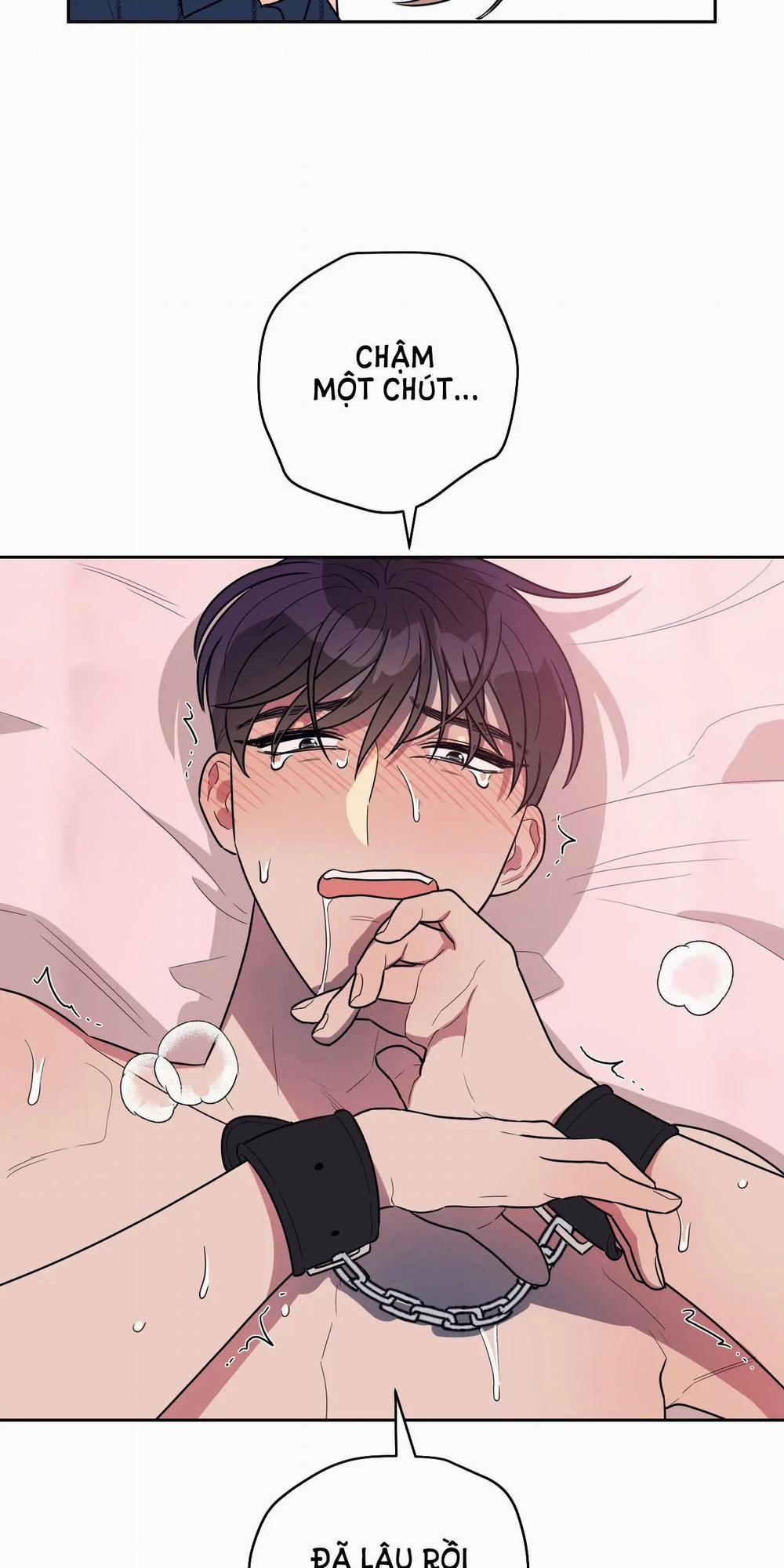 [18+] Đại Học Adan Và Những Điều Thú Vị 17.1 trang 15