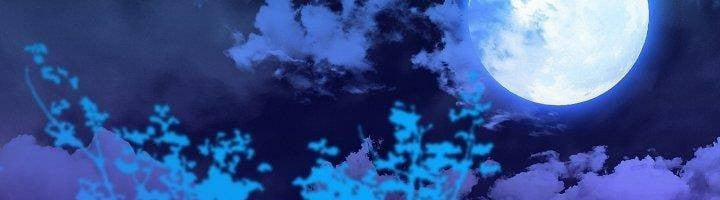 [18+] Đêm Bí Mật Của Thánh Nữ Bị Giam Cầm 26.1 trang 4