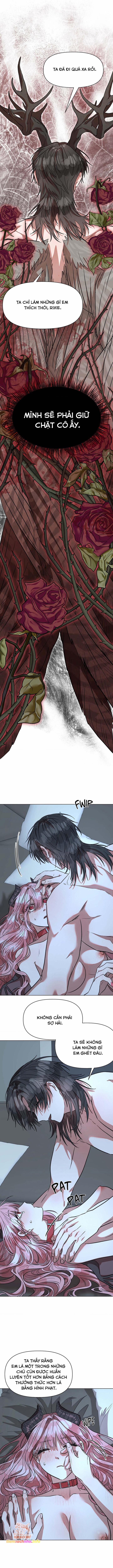 [18+] Dịch Vụ Đặc Biệt 5 trang 2