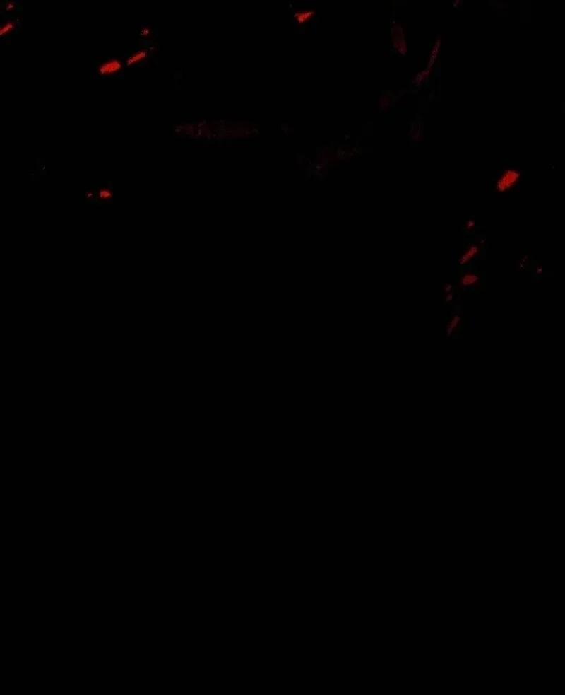 [18+] Dinh Thự Của Dã Thú 73 trang 9