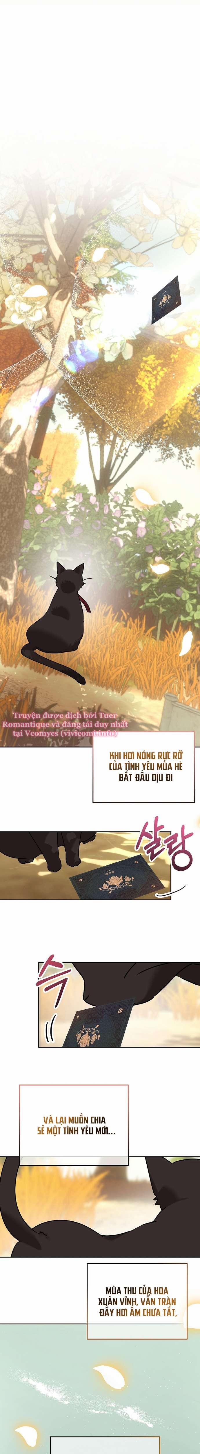 [18+] Dinh Thự Young Chun Hwa: Đêm Đầu Tiên Sau Ly Hôn OneShot trang 7