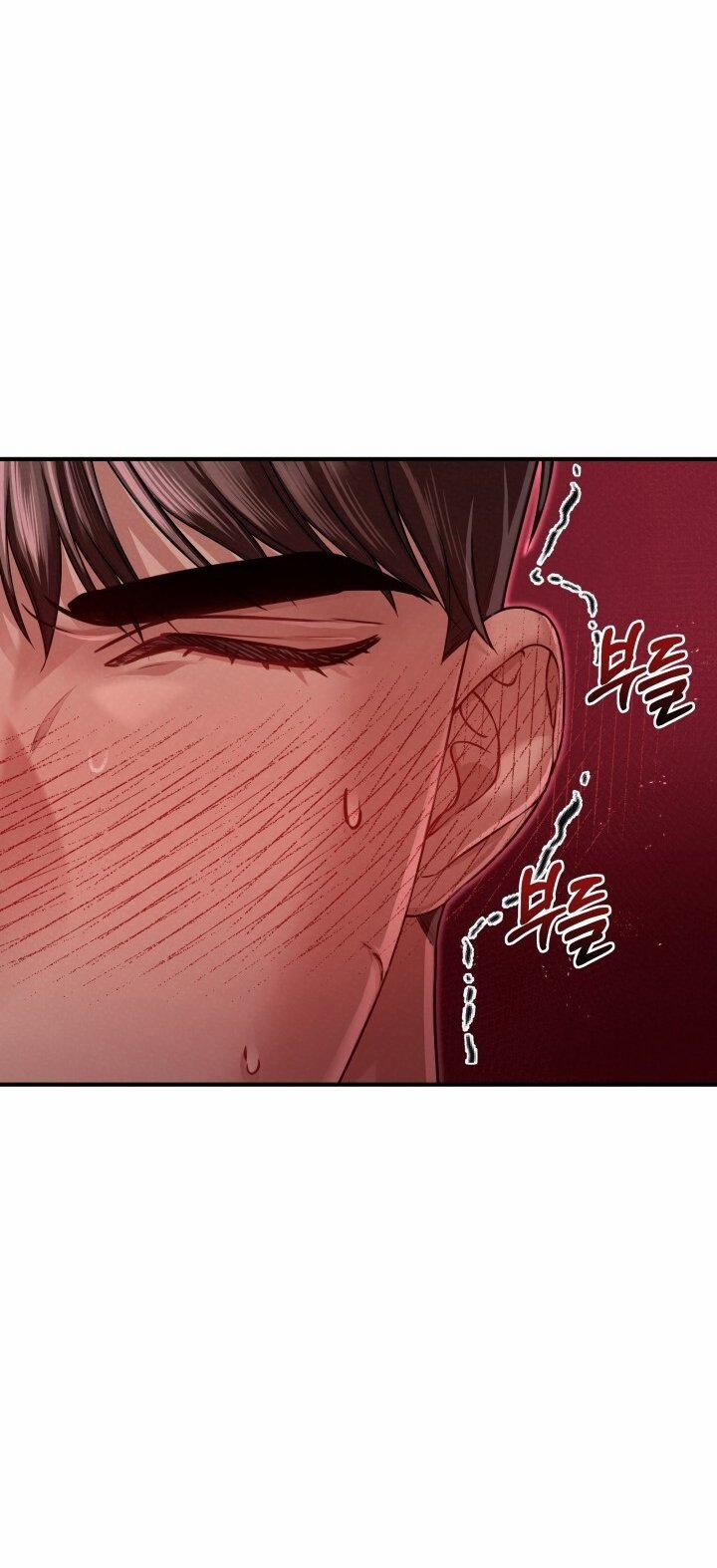 [18+] Độc Chiếm Và Hủy Diệt 28.2 trang 21