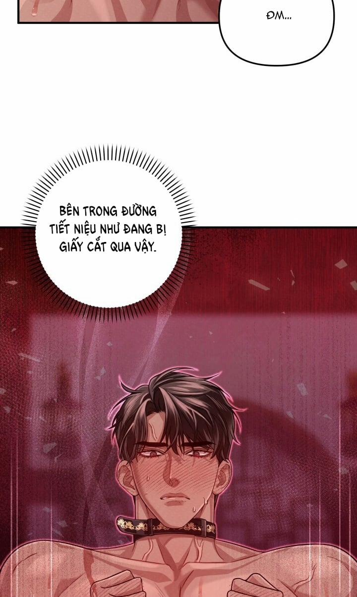[18+] Độc Chiếm Và Hủy Diệt 31.2 trang 42
