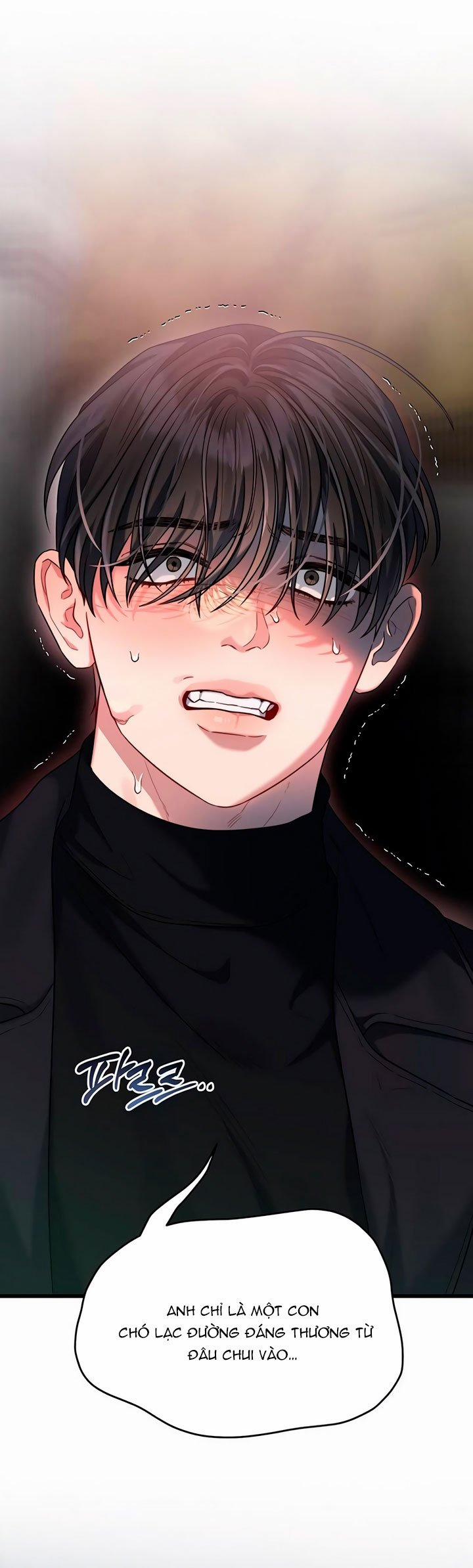 [18+] Dục Vọng Tao Nhã 40.1 trang 1