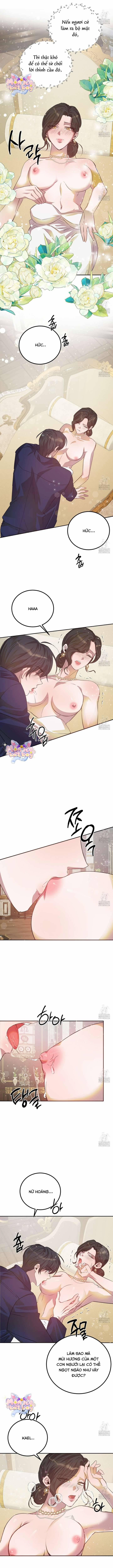 [18+] Hậu Cung Của Nữ Hoàng 10 trang 8
