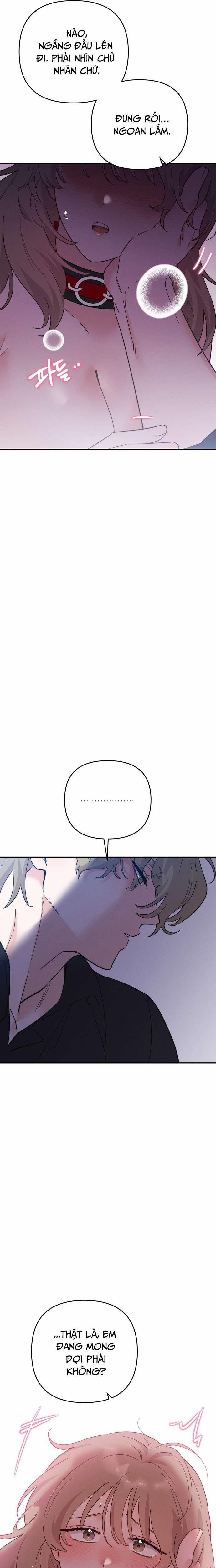 [18+] Họ Sẽ Mãi Hạnh Phúc Bên Nhau 10 trang 13