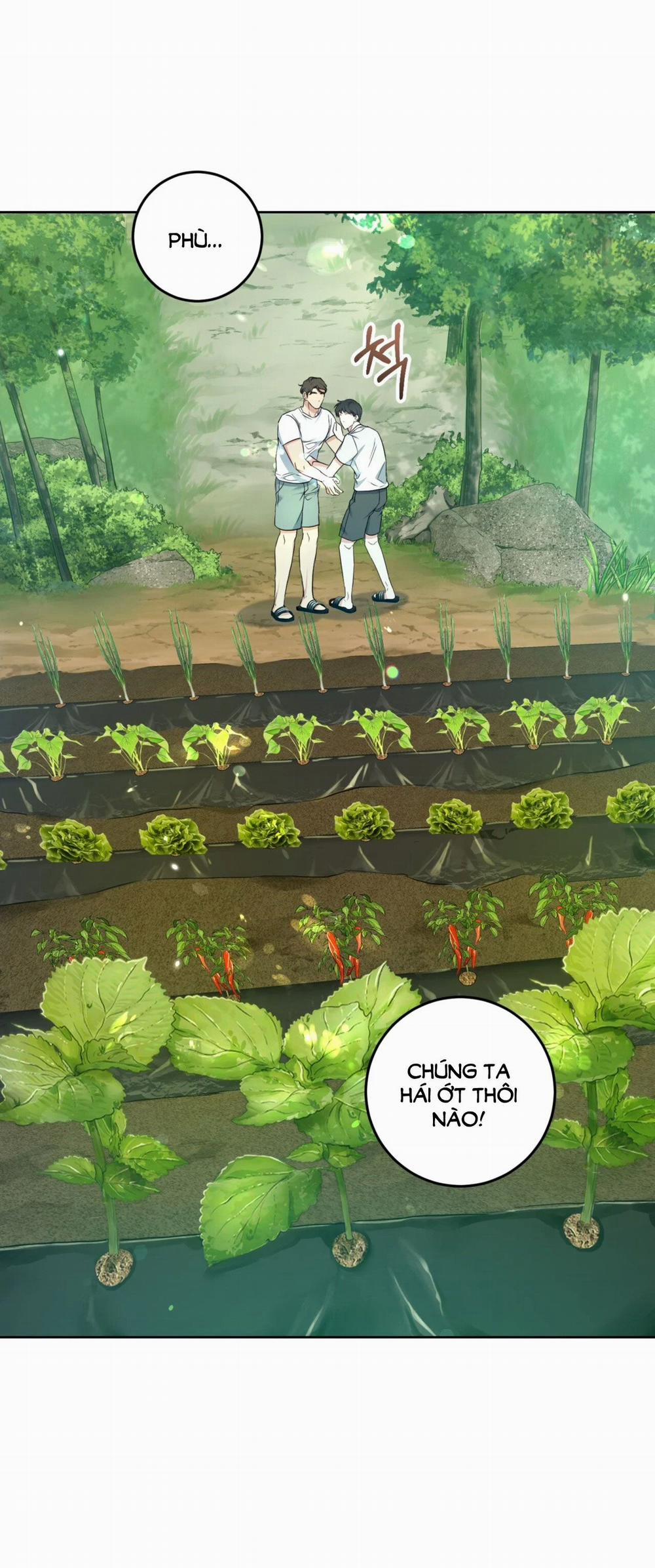 [18+] Khu Rừng Dịu Dàng 3.1 trang 14