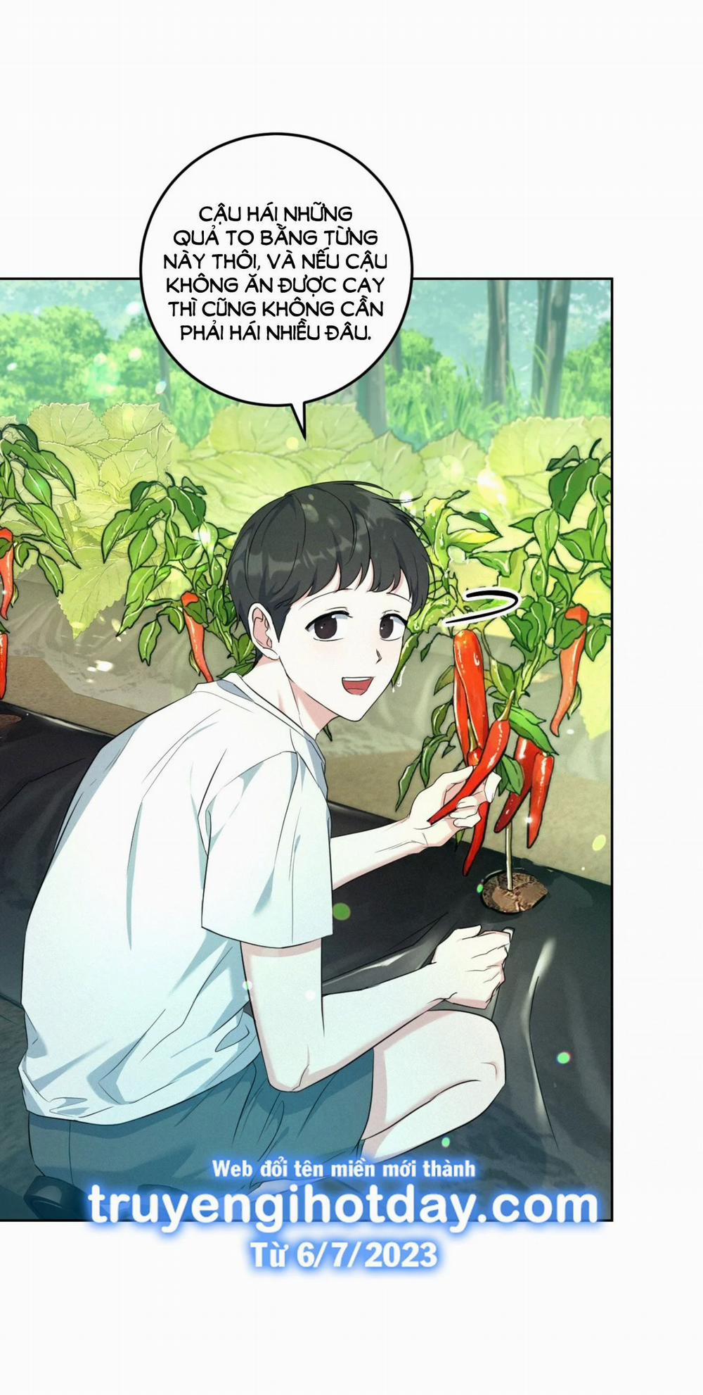 [18+] Khu Rừng Dịu Dàng 3.1 trang 15