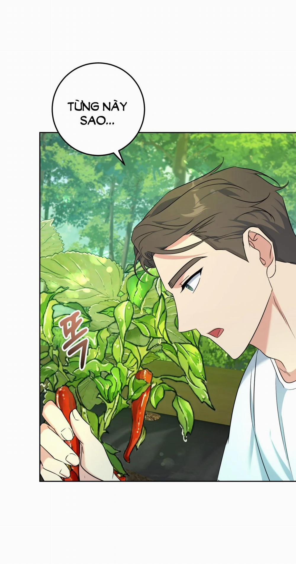 [18+] Khu Rừng Dịu Dàng 3.1 trang 16