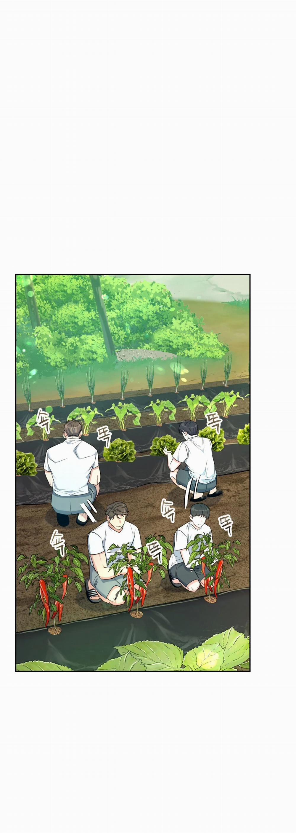 [18+] Khu Rừng Dịu Dàng 3.1 trang 17