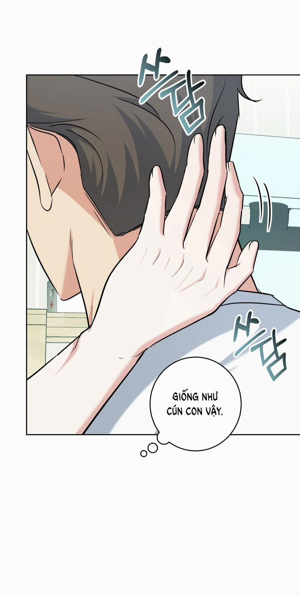 [18+] Khu Rừng Dịu Dàng 4.2 trang 16