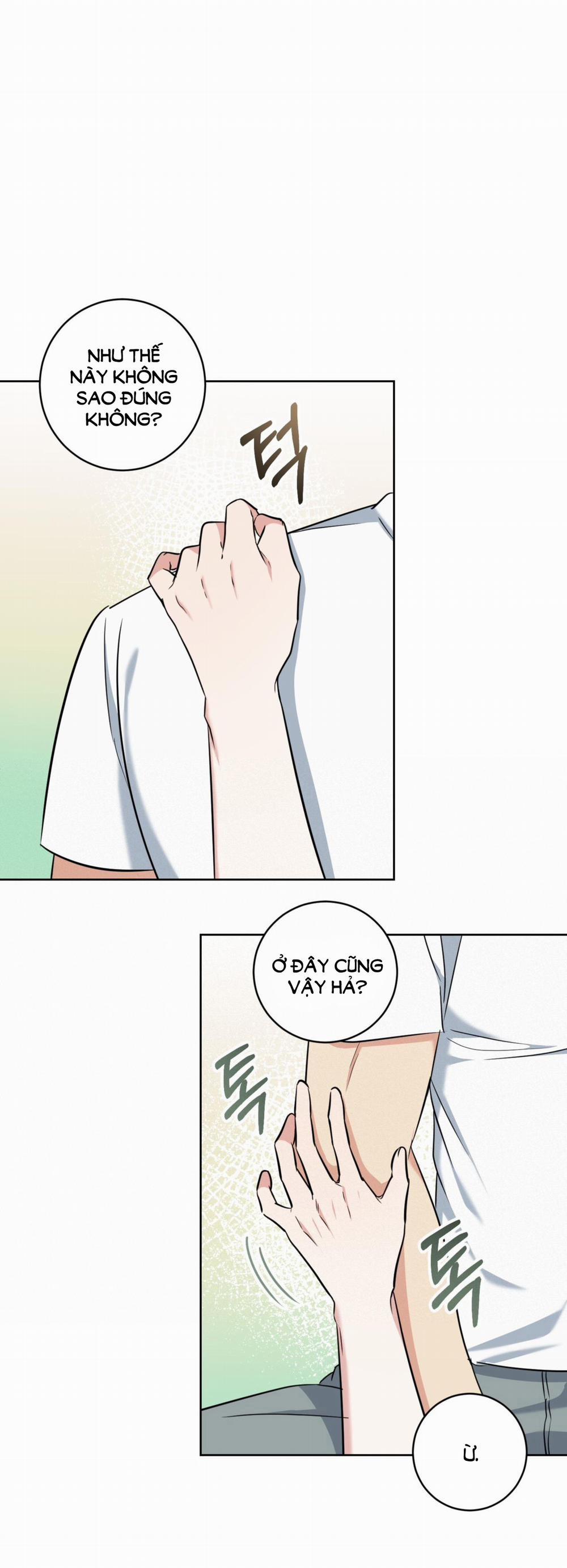 [18+] Khu Rừng Dịu Dàng 5.2 trang 2