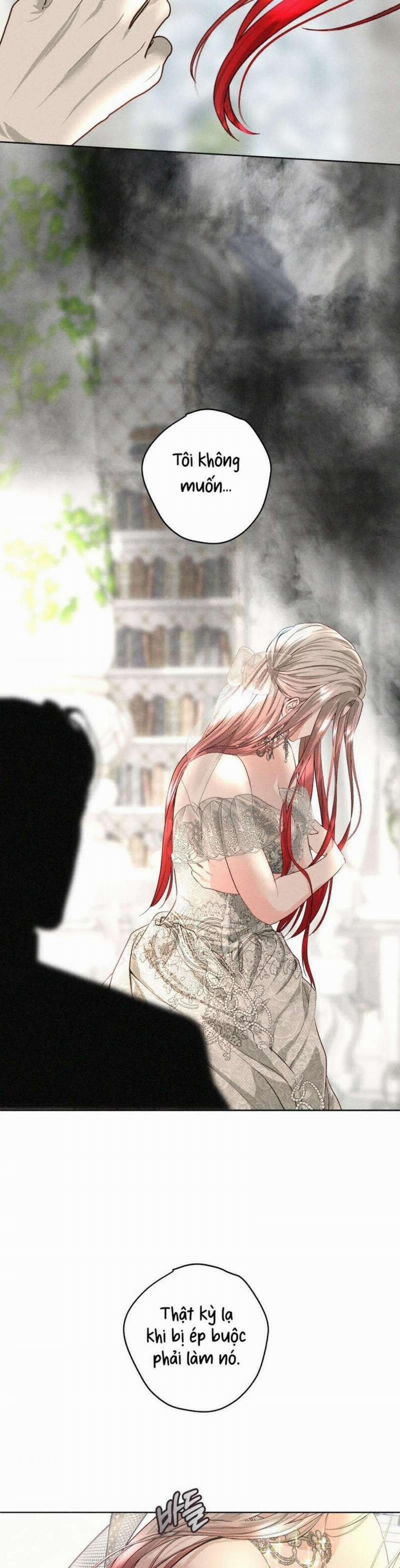 [ 18+ ] Lời Nguyền Tóc Đỏ 11 trang 4