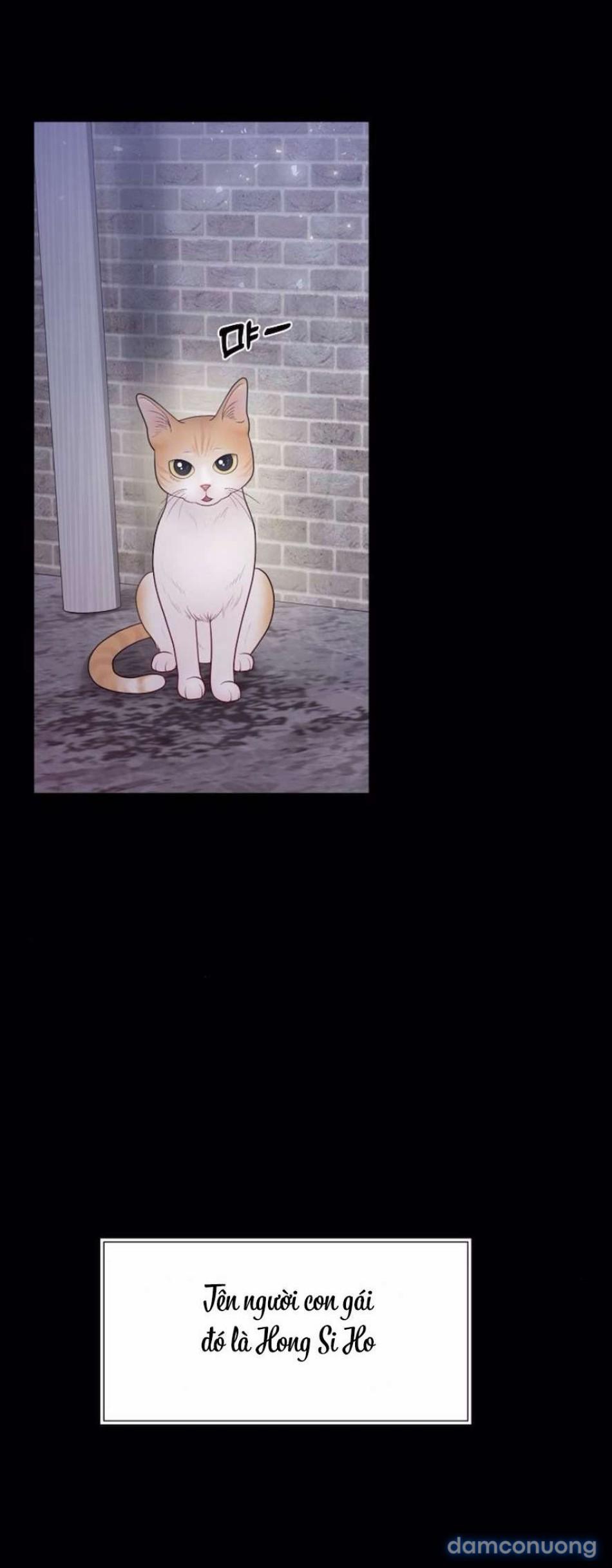 〖18+〗- Mang Thai, Chiếm Đoạt 13 trang 11