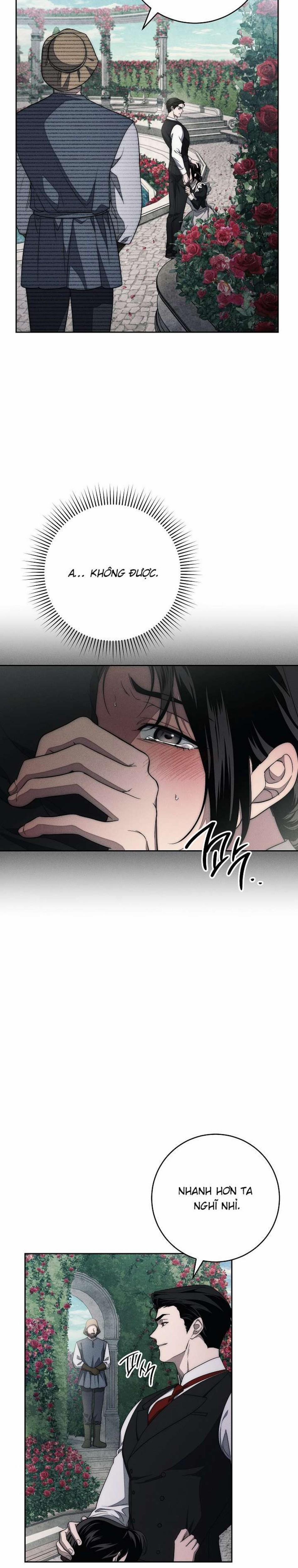 [18+] Mộ Thiên Nga 17 trang 10
