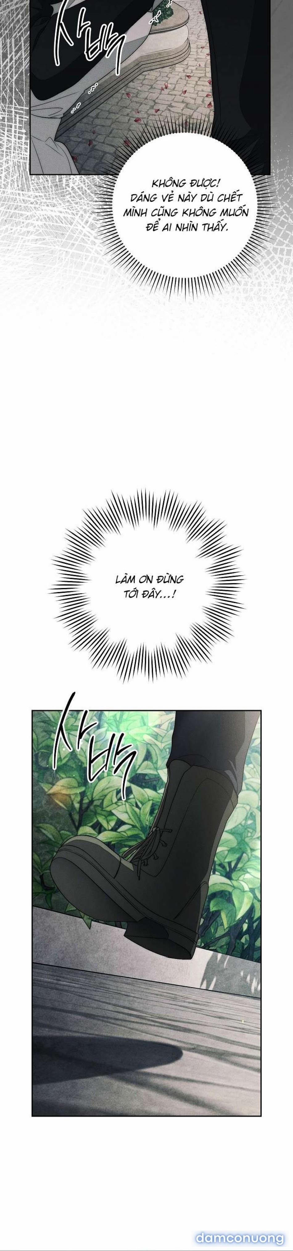 [18+] Mộ Thiên Nga 17 trang 7