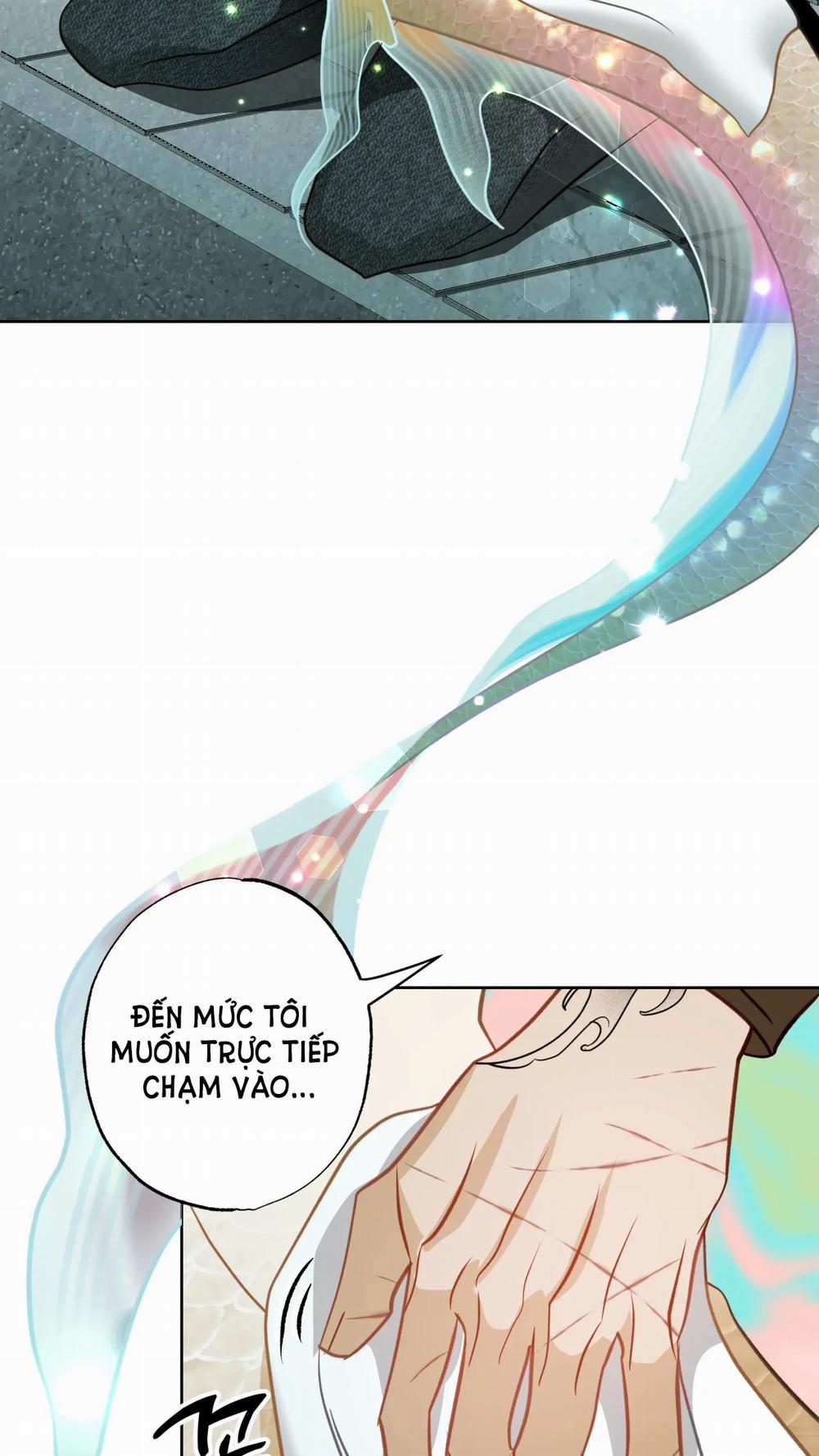 [18+] Mối Tình Đầu Của Chủ Quán Hải Sản Là Người Cá 5.2 trang 11
