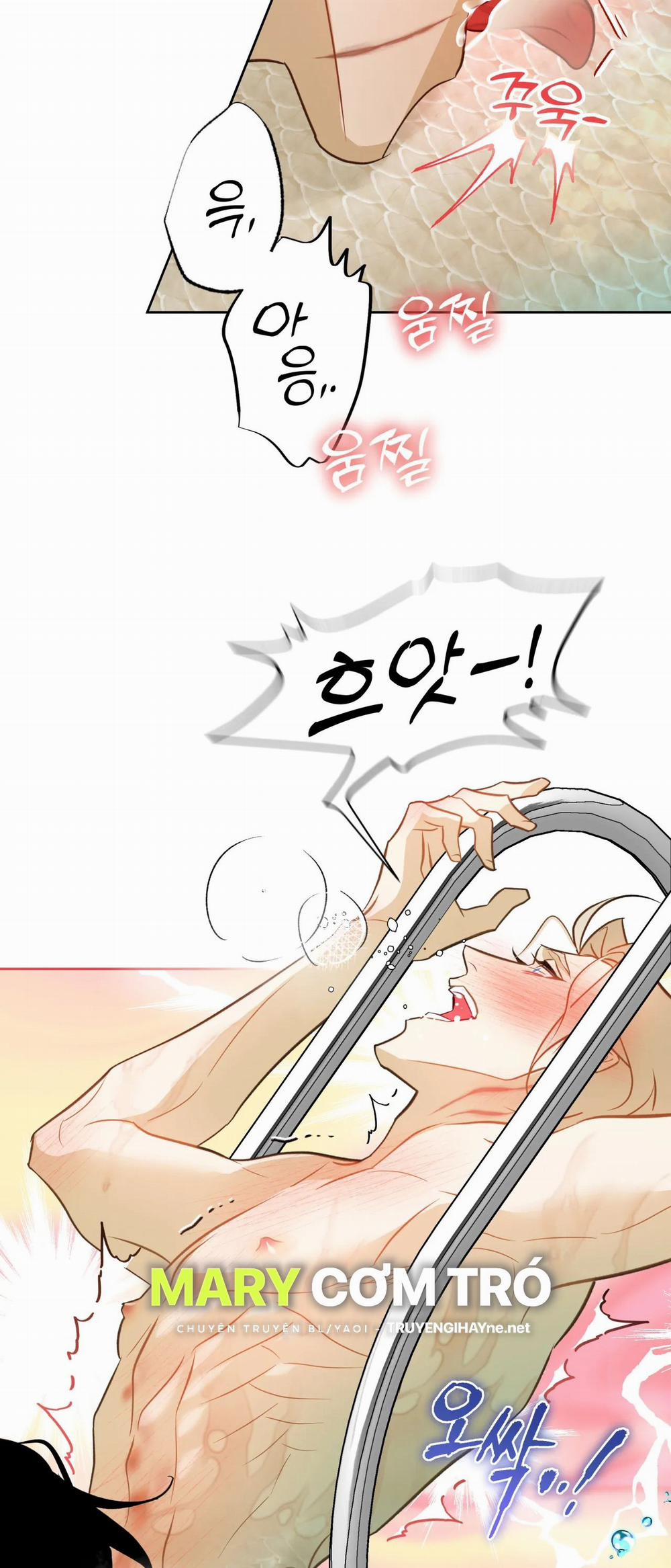 [18+] Mối Tình Đầu Của Chủ Quán Hải Sản Là Người Cá 6.1 trang 4