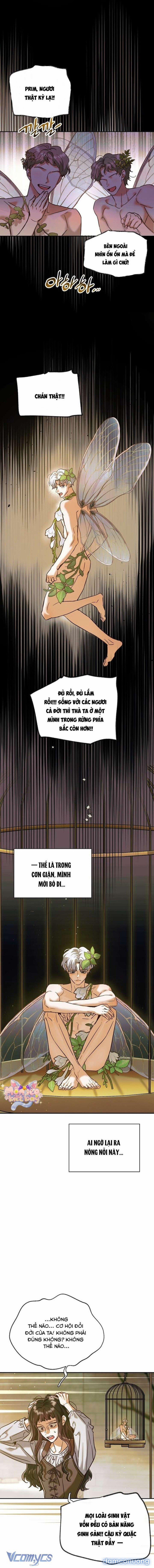 [18+] Nếu Nam Chính Nhỏ Thì Có Hơi Rắc Rối Phải Không? 2 trang 12