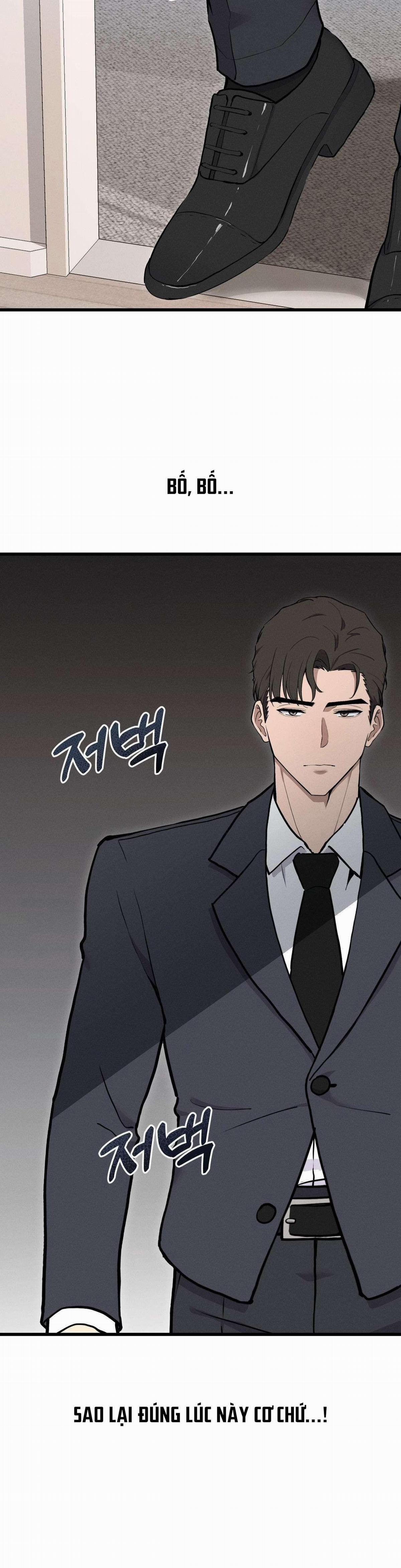 [18+] Người Bố Của Tôi 13 trang 14