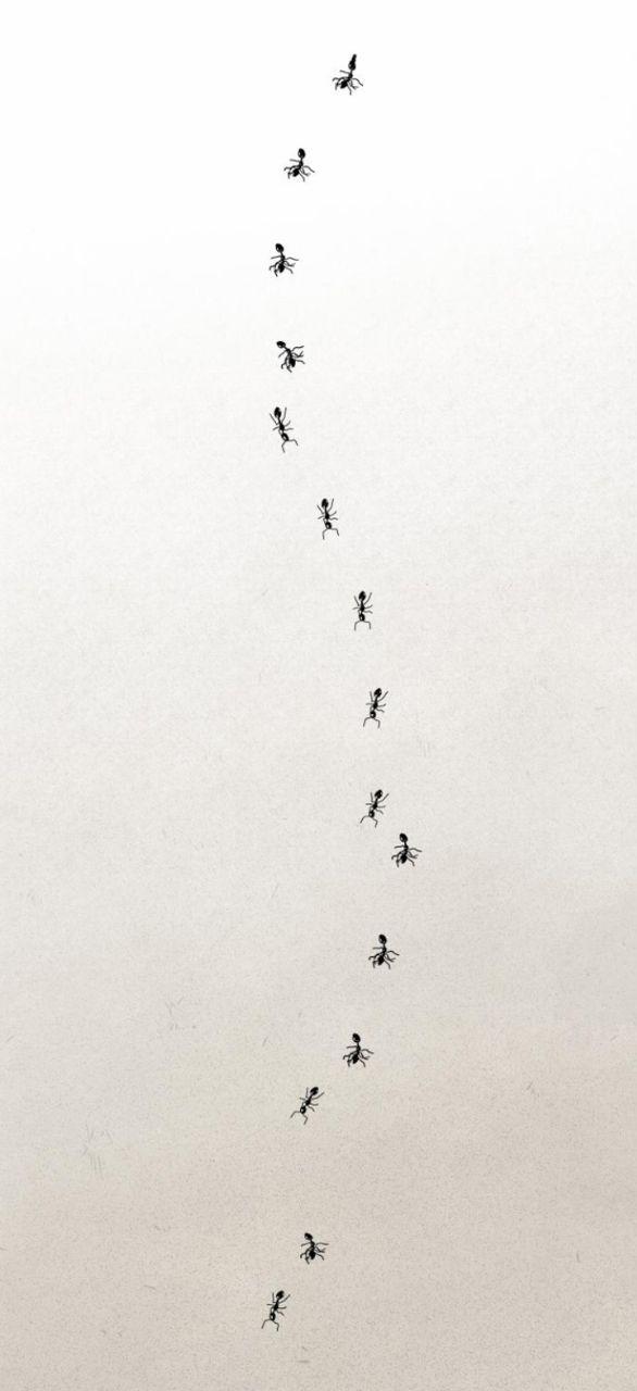 [18+] Nguyệt Mị Moonstruck 25 trang 0