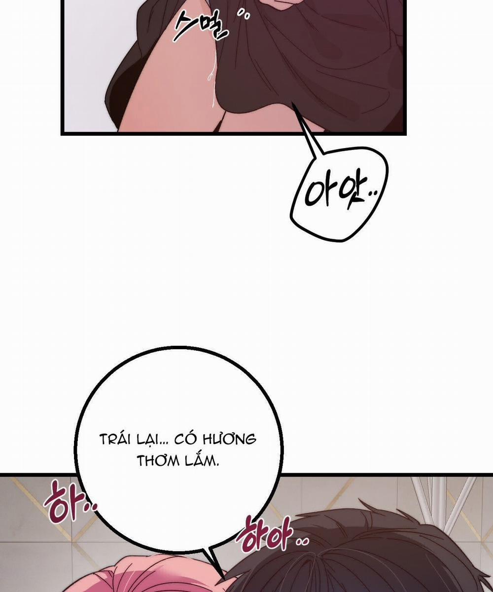 [18+] Sự Ngọt Ngào Đẫm Máu 7.2 trang 1