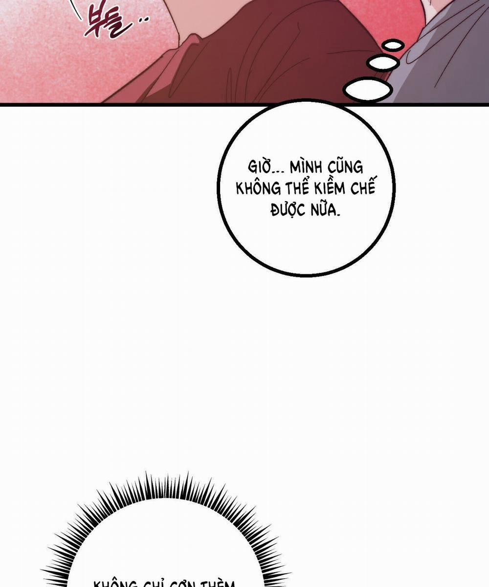 [18+] Sự Ngọt Ngào Đẫm Máu 7.2 trang 13