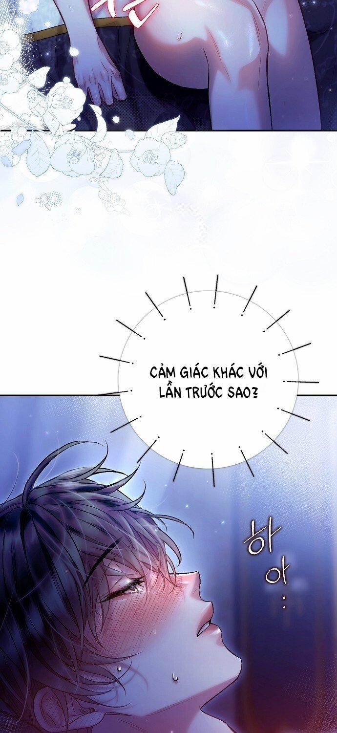 [18+] Sugar Rain 49.1 trang 3