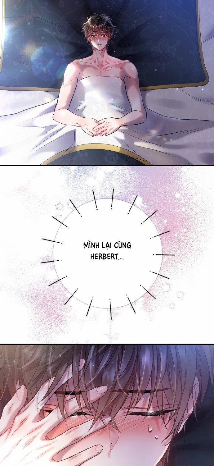 [18+] Sugar Rain 50.2 trang 3