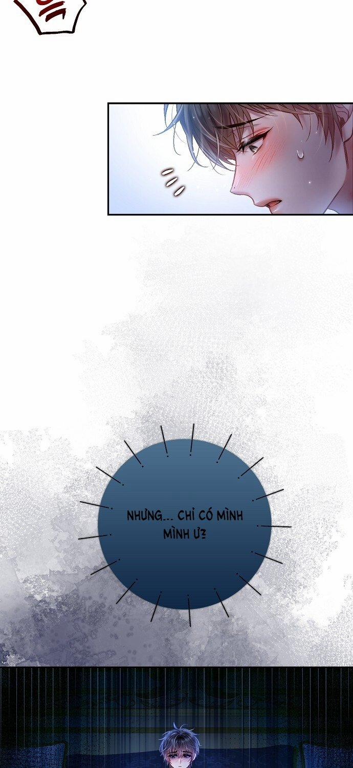 [18+] Sugar Rain 50.2 trang 5