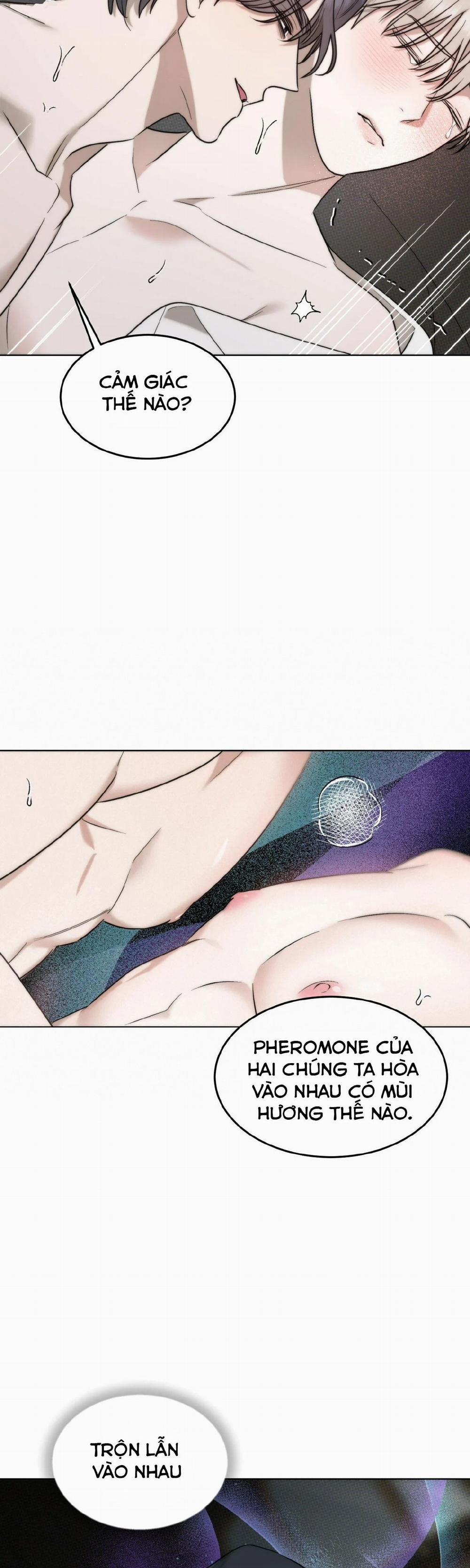 [18+] The Essence 4.1 trang 5