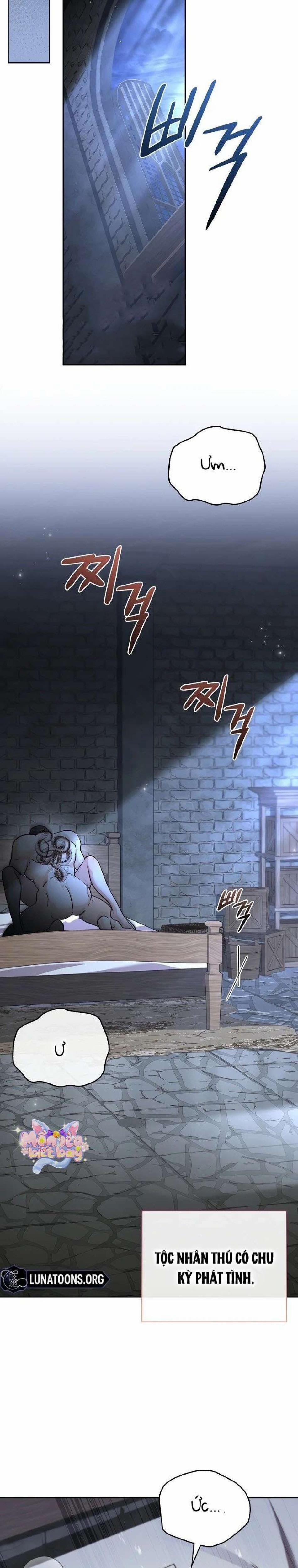 [18+] Tôi Đang Tìm Con Sói Đã Trêu Đùa Con Rắn Đen 0 trang 0