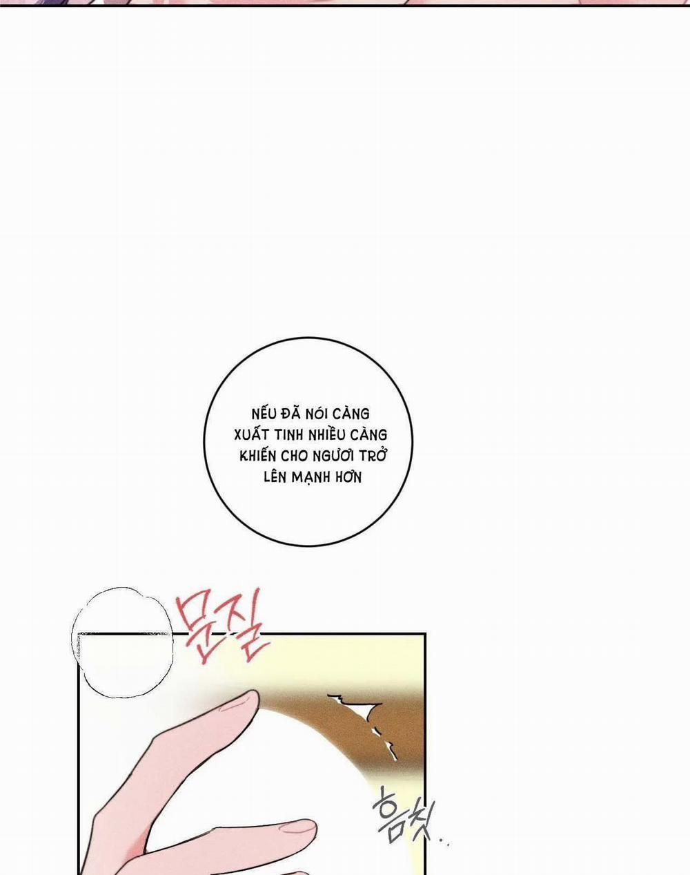 [18+] [Truyện Cổ Tích Khiêu Dâm Truyền Thống] Hoàn Cảnh Ngốc Nghếch Của Ondal 3.2 trang 19