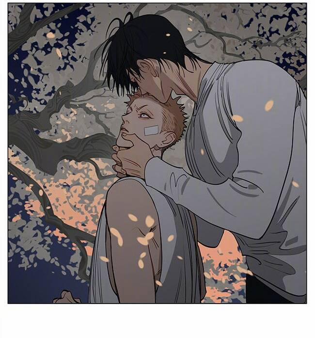 19 Days 557 trang 10