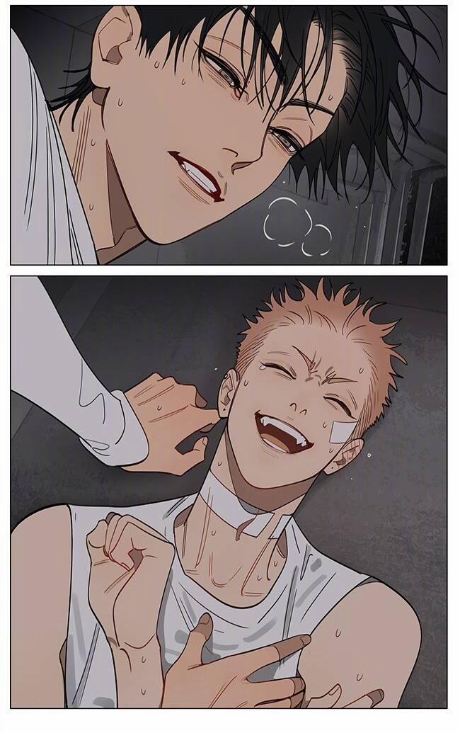 19 Days 558 trang 10