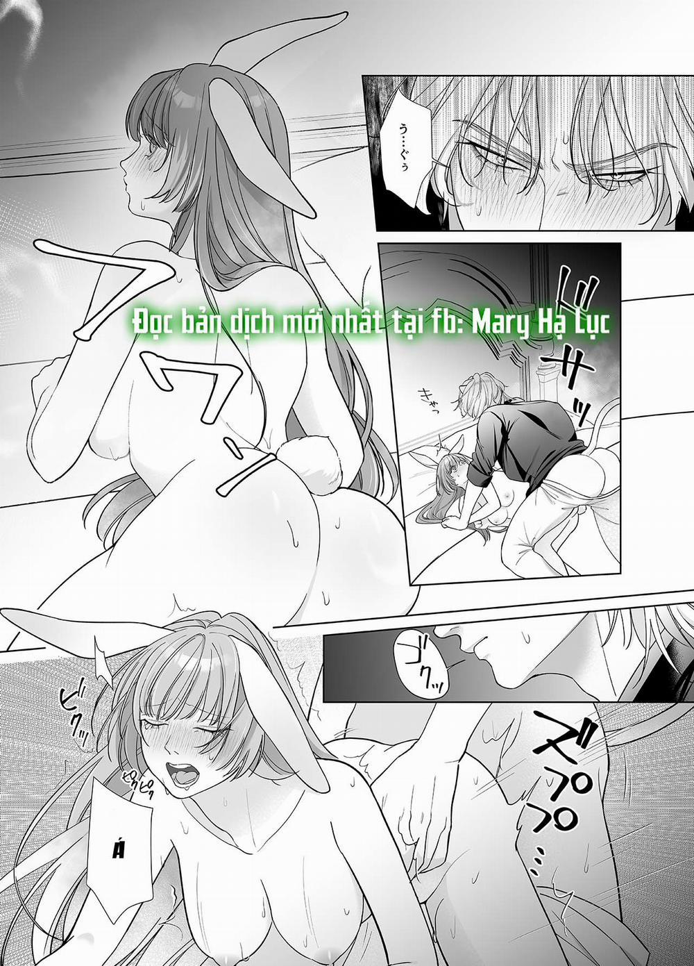 [21+] Cô Dâu Thỏ Của Chàng Sư Tử Hung Mãnh 2 trang 2