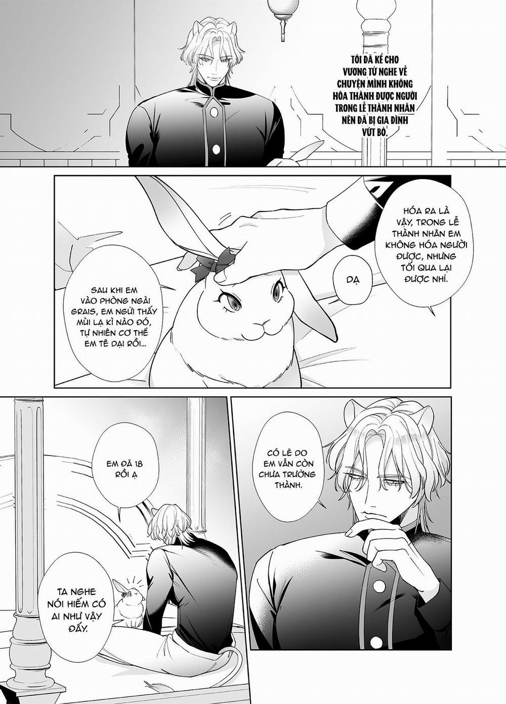 [21+] Cô Dâu Thỏ Của Chàng Sư Tử Hung Mãnh 2 trang 7